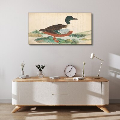 Duck against the green background Canvas wall art