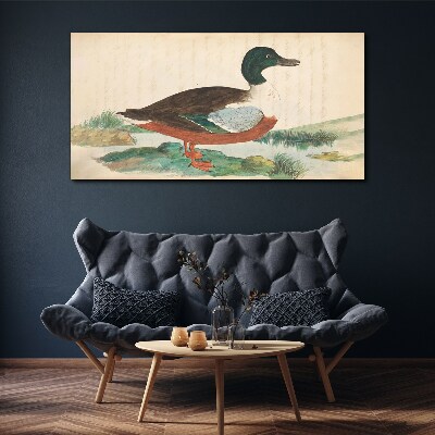 Duck against the green background Canvas wall art