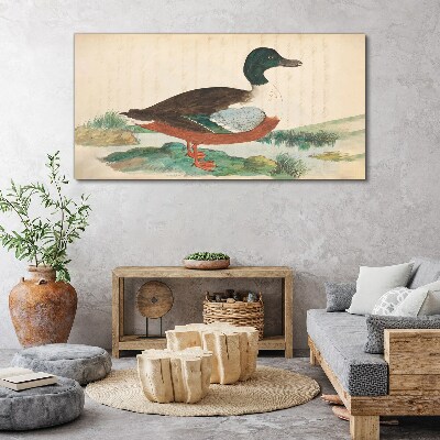 Duck against the green background Canvas wall art