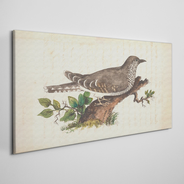 Cuckoo on a branch Canvas wall art