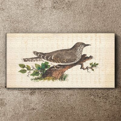 Cuckoo on a branch Canvas wall art