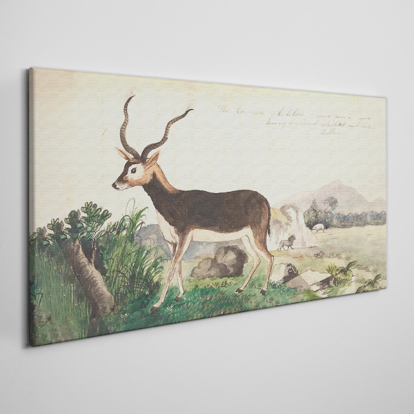 Antelope in the background of the landscape Print on canvas