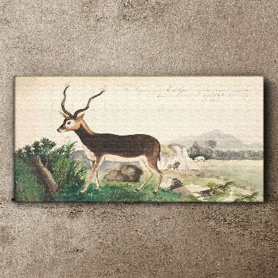 Antelope in the background of the landscape Print on canvas