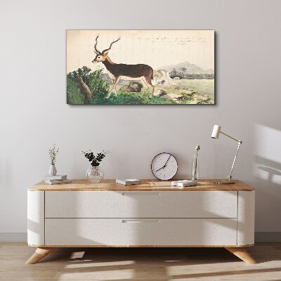 Antelope in the background of the landscape Print on canvas