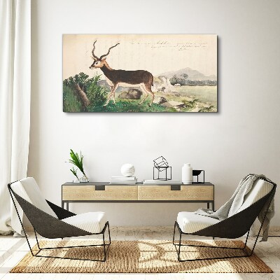 Antelope in the background of the landscape Print on canvas