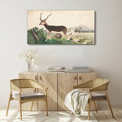 Antelope in the background of the landscape Print on canvas