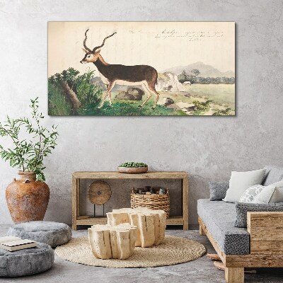 Antelope in the background of the landscape Print on canvas