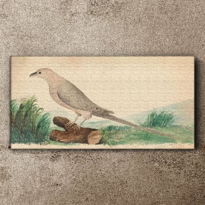 A bird in the background of nature Print on canvas