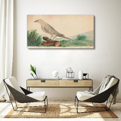 Birds animals Canvas print