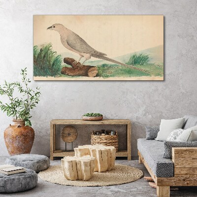 Birds animals Canvas print