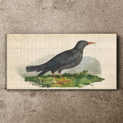 Bird on a green background Canvas wall art
