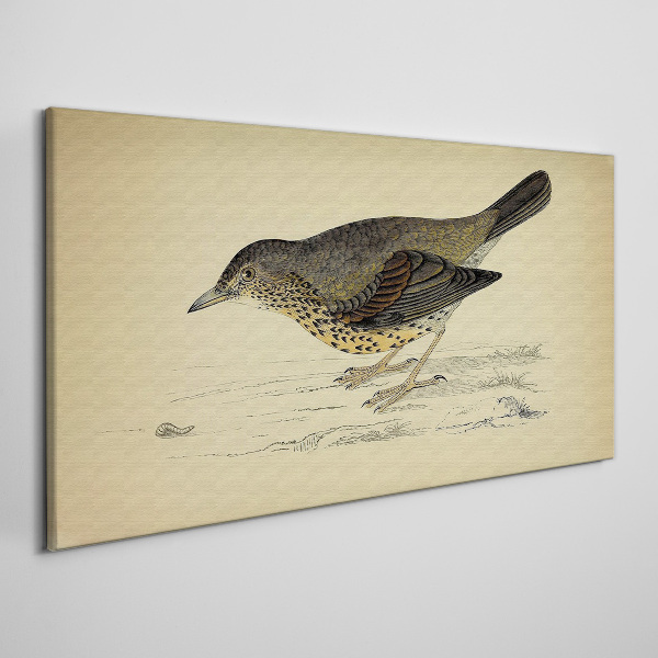 Bird on a beige background Print on canvas