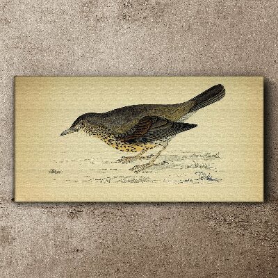 Bird drawing Canvas print