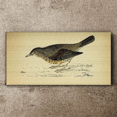 Bird on a beige background Print on canvas