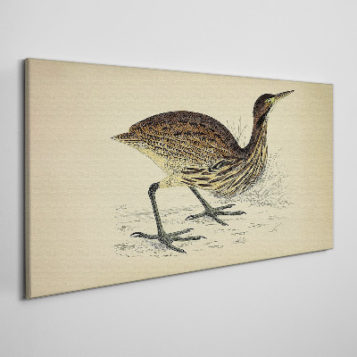 Bird drawing Canvas print