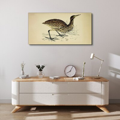 Bird drawing Canvas print