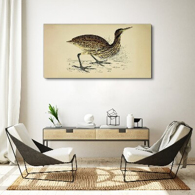 Bird drawing Canvas print