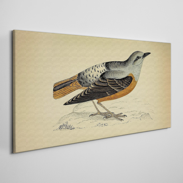 Bird in pastel shades Print on canvas