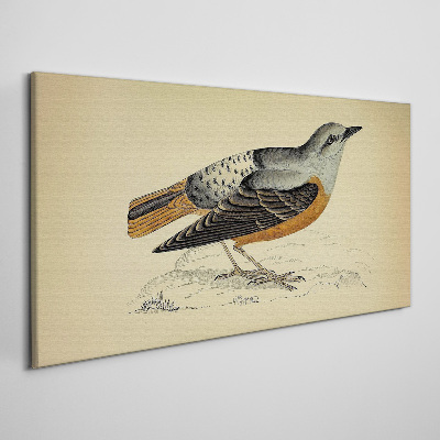 Bird in pastel shades Print on canvas