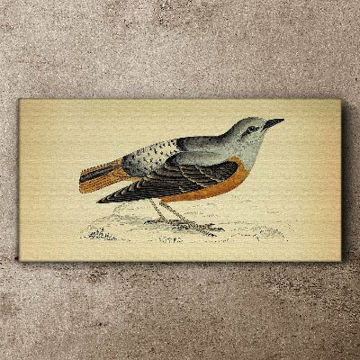 Bird drawing Canvas print