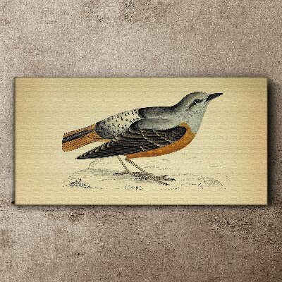 Bird in pastel shades Print on canvas