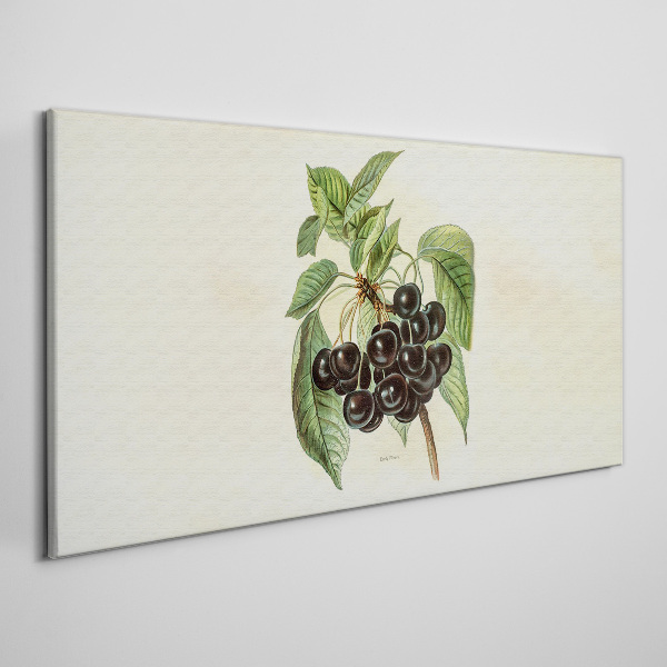 Black fruit on the branch Canvas wall art
