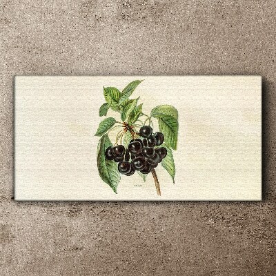 Black fruit on the branch Canvas wall art