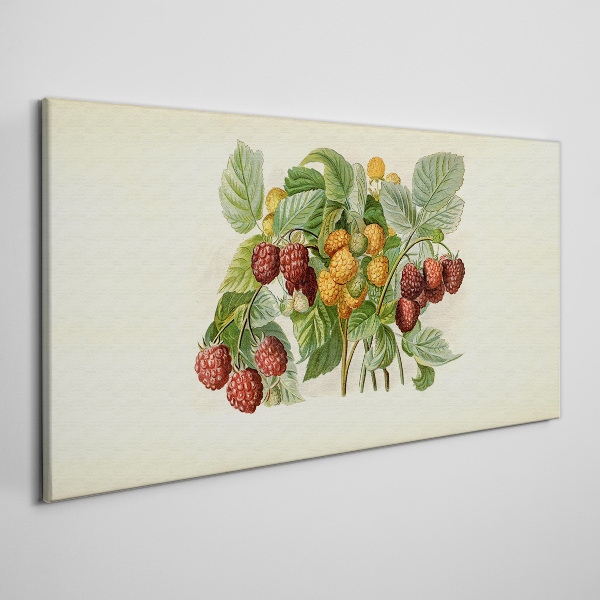 Fruity bouquet of raspberries and blackberries Print on canvas