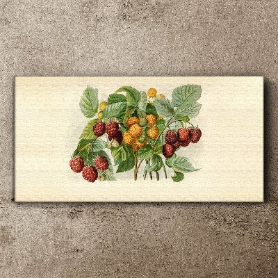 Fruity bouquet of raspberries and blackberries Print on canvas