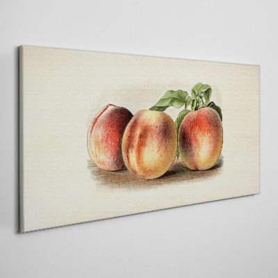 Three peaches on a white background Print on canvas