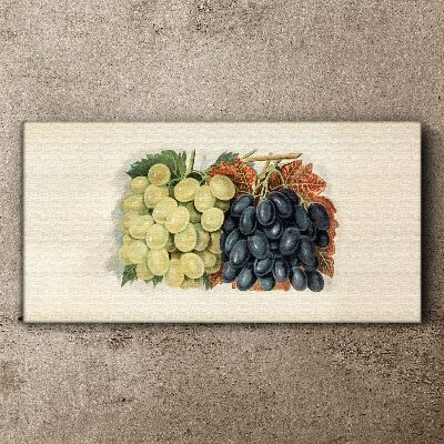 Grapes in harmony of colors Canvas wall art