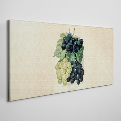 Fruity duo of grapes Print on canvas