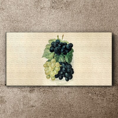 Fruity duo of grapes Print on canvas