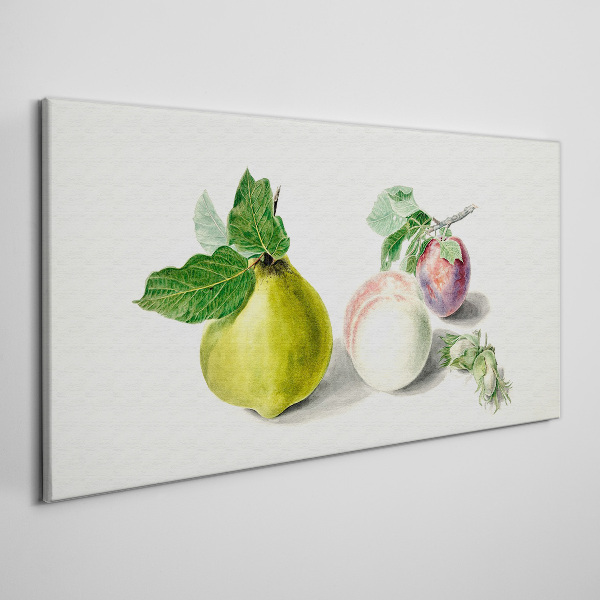 Fruit branch leaves Canvas Wall art