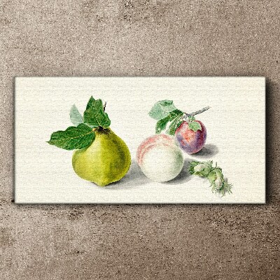 Fruit branch leaves Canvas Wall art