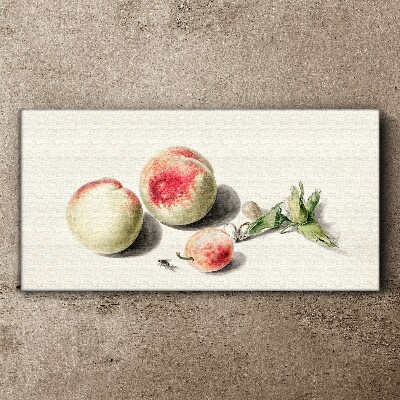 Juicy peaches on a light background Print on canvas