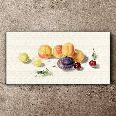 Fruits on a white background Canvas wall art