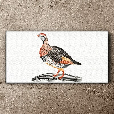 Drawing animal bird Canvas Wall art