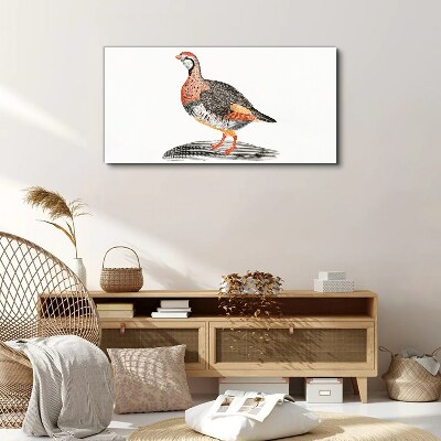 Drawing animal bird Canvas Wall art