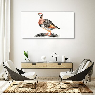 Drawing animal bird Canvas Wall art