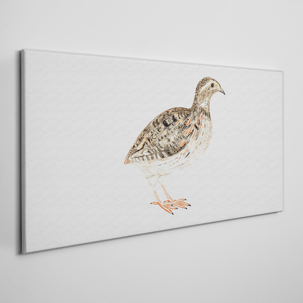 Drawing animal bird Canvas Wall art