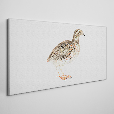 Bird on a white background Canvas wall art