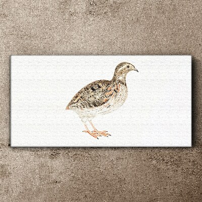 Bird on a white background Canvas wall art