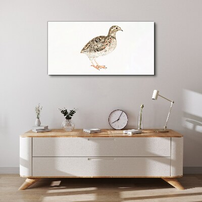 Bird on a white background Canvas wall art