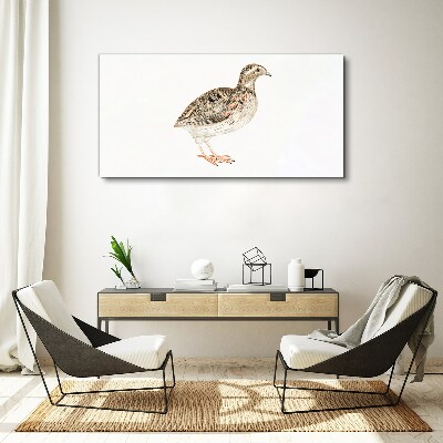 Bird on a white background Canvas wall art