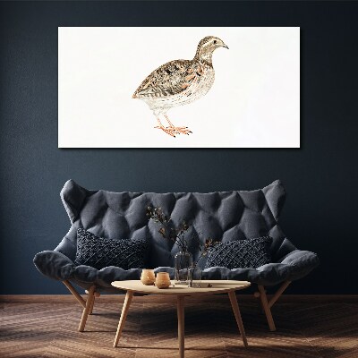 Bird on a white background Canvas wall art