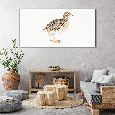 Bird on a white background Canvas wall art