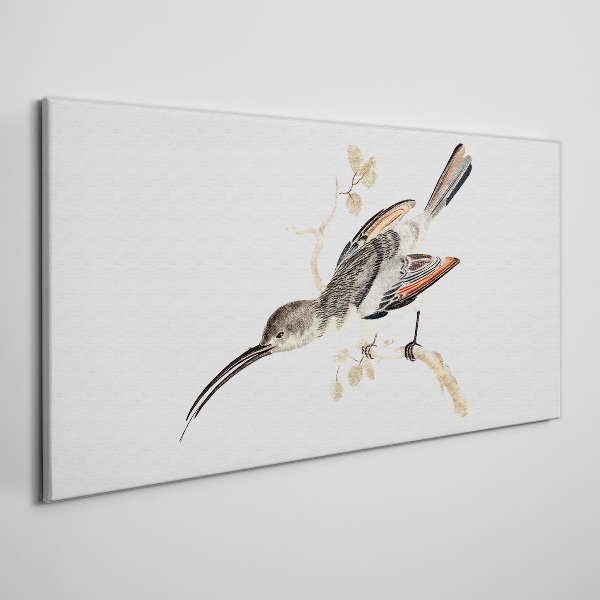 Bird on a branch Print on canvas