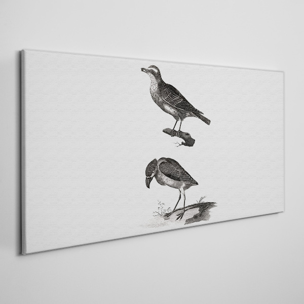 Birds on a branch Canvas wall art