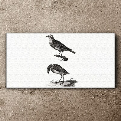 Drawing animals birds Canvas Wall art